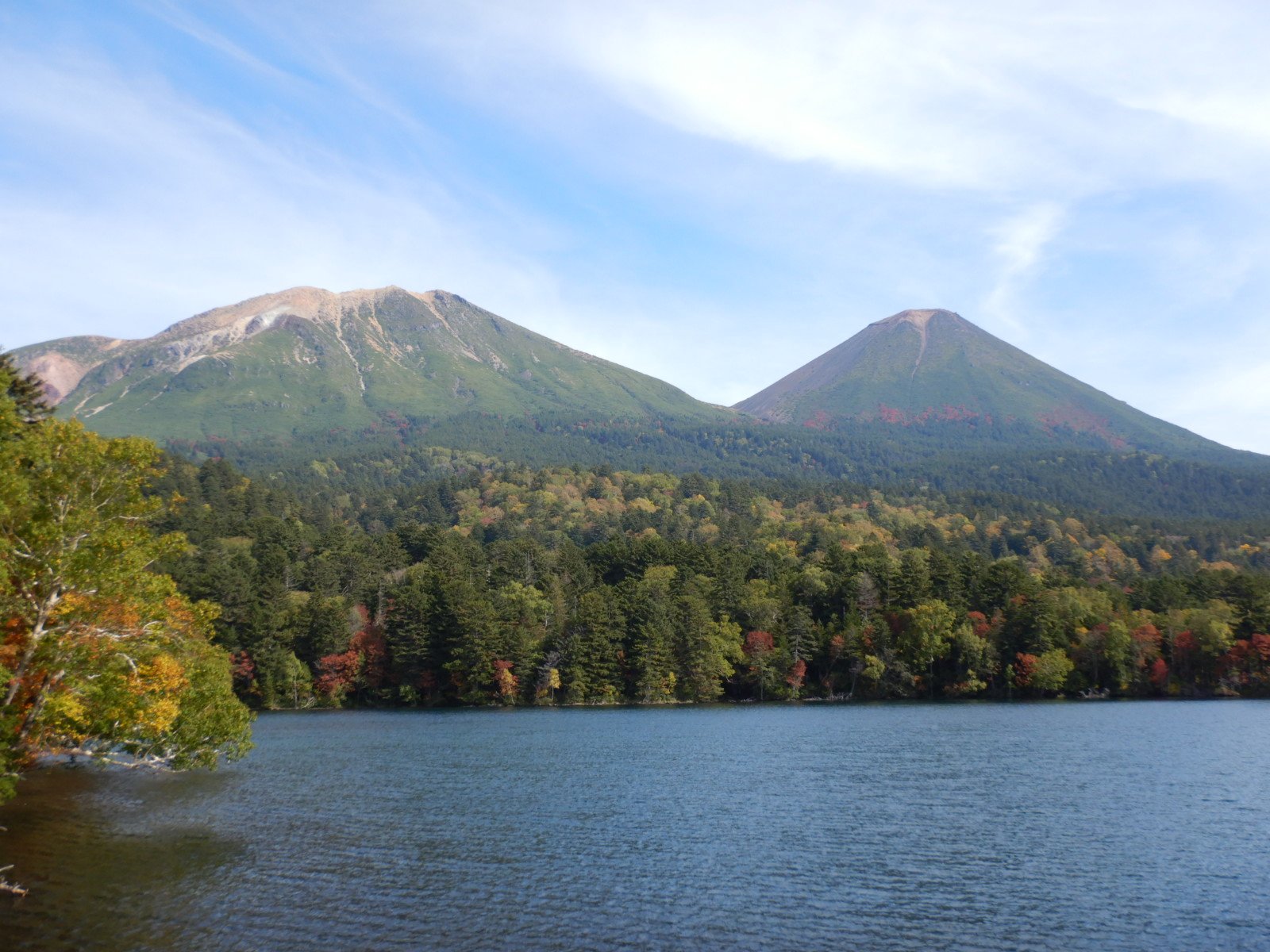 🌳 유노타키 공원 (유노타키코엔) 이미지 7